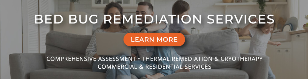 Bed bug remediation services