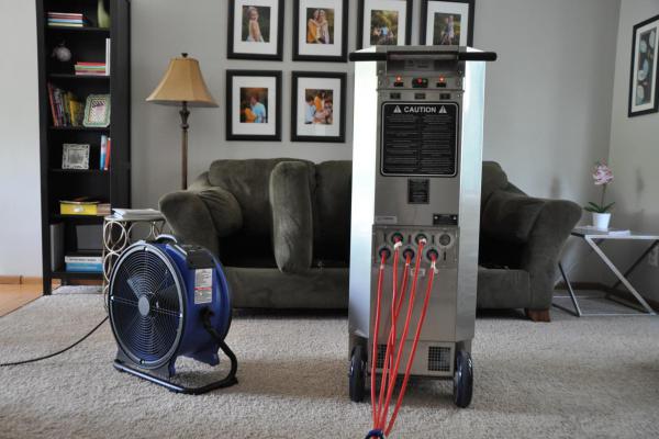 thermal remediation services for bed bugs