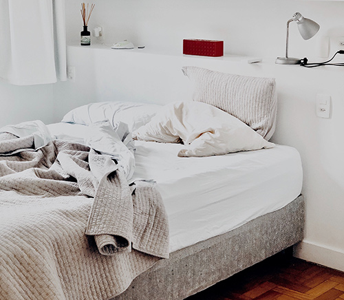 Bed Bug Exterminator in Indianapolis