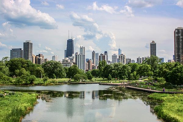 Illinois pest control