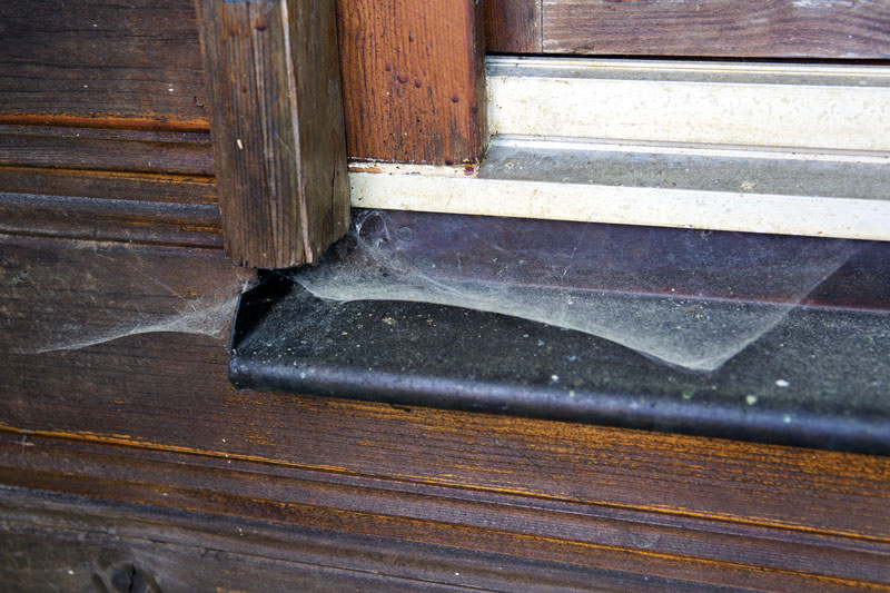 Pest Control in Carmel 8 Tips to Control Deadly Spiders in Your Home