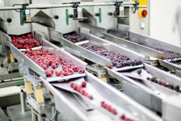 Food processing pest control