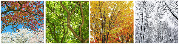 Seasonal pest control