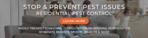 Stop and prevent pest issues