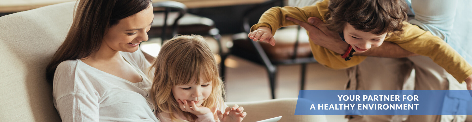 Pest Control in Indianapolis