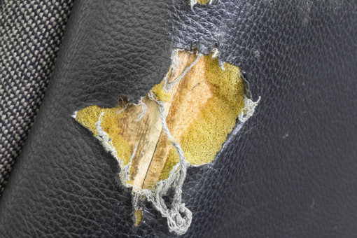 torn furniture due to rodents