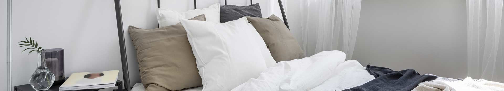 bed bug company in Fishers