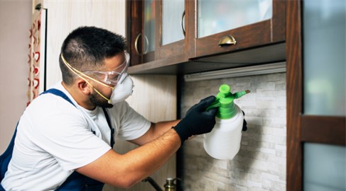 Apartment Pest Control in Kansas City