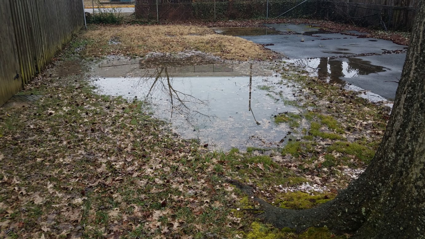 Carmel Pest Control Company The Best Ways to Bugproof Your Home in