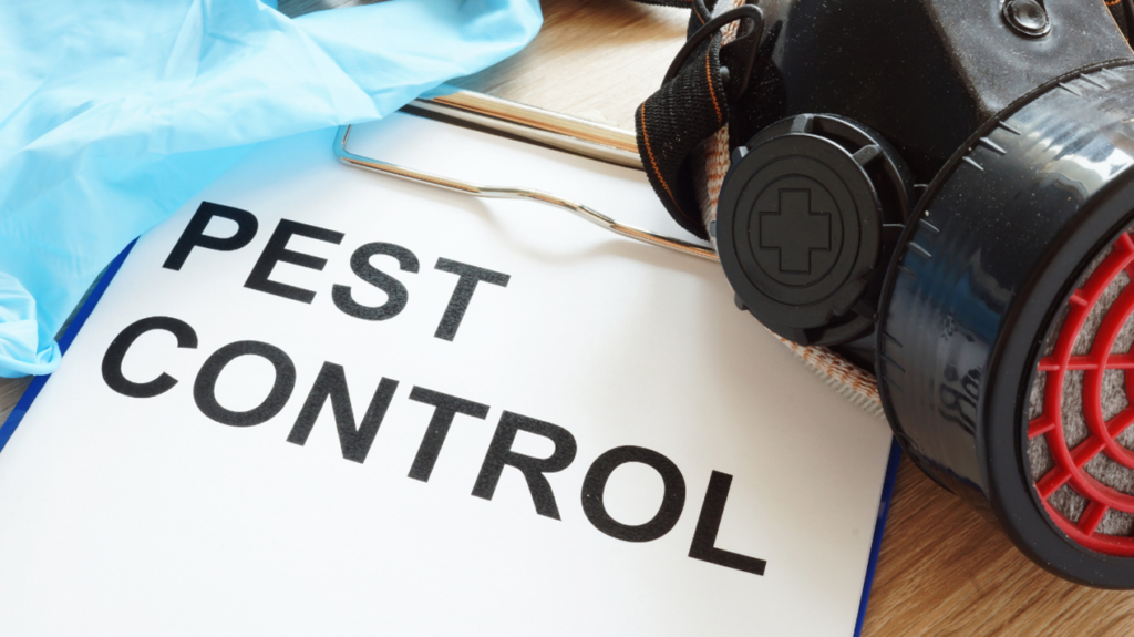 Apartment Pest Control in Carmel