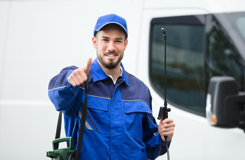 Bug Control in Indianapolis