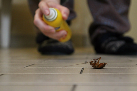 Apartment Pest Control in Kansas Cit