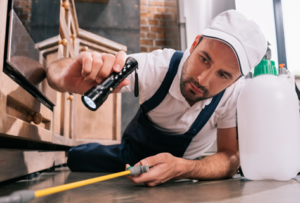 Pest Control Companies in Indianapolis