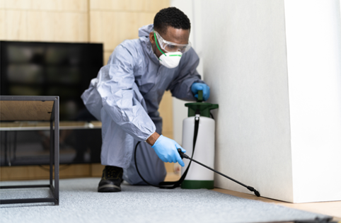 residential pest control in Carmel