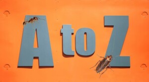 Pest Control in Carmel