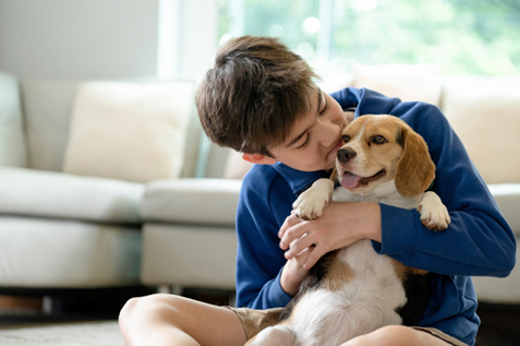 Pest Control in Carmel