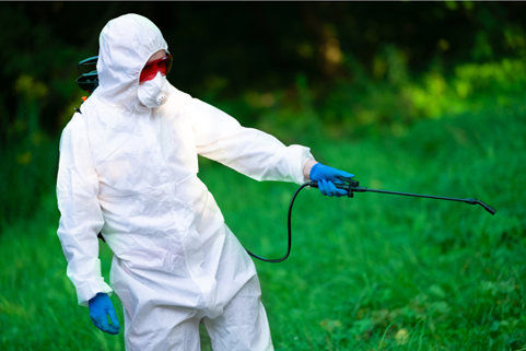 Pest Control in Carmel