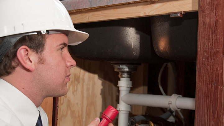 Not All Pest Control Companies in Indianapolis Are the Same—Here’s What Actually Matters--Let’s be honest—most people don’t think about pest control until something’s crawling across the kitchen floor. You Google “pest control companies in Indianapolis” and boom—hundreds of results.