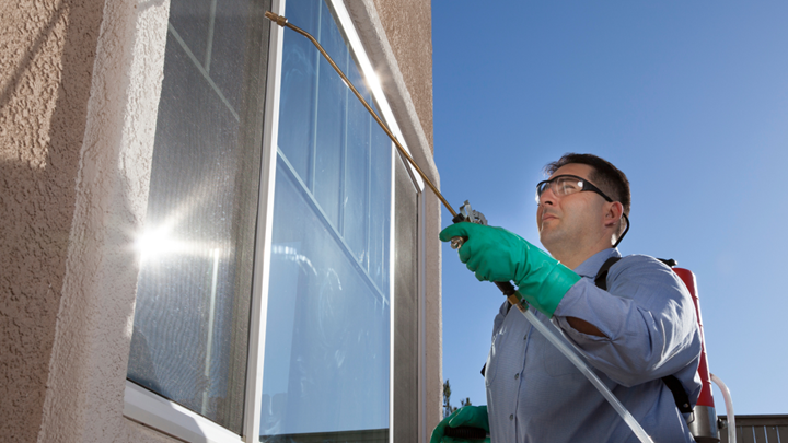 Pest Control Services in Indianapolis