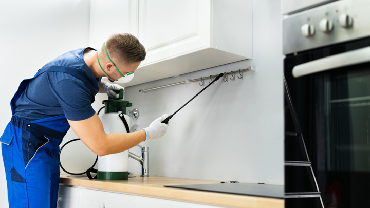 Pest Control Services in Indianapolis
