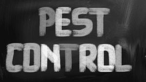 Pest Services in Kansas City