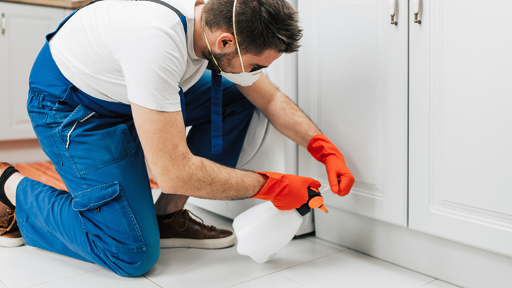 Not All Pest Control Companies in Indianapolis Are the Same—Here’s What Actually Matters--Let’s be honest—most people don’t think about pest control until something’s crawling across the kitchen floor. You Google “pest control companies in Indianapolis” and boom—hundreds of results.