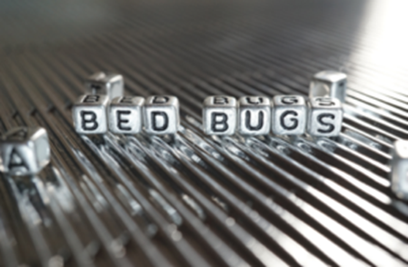 Bed Bug Company in Kansas City