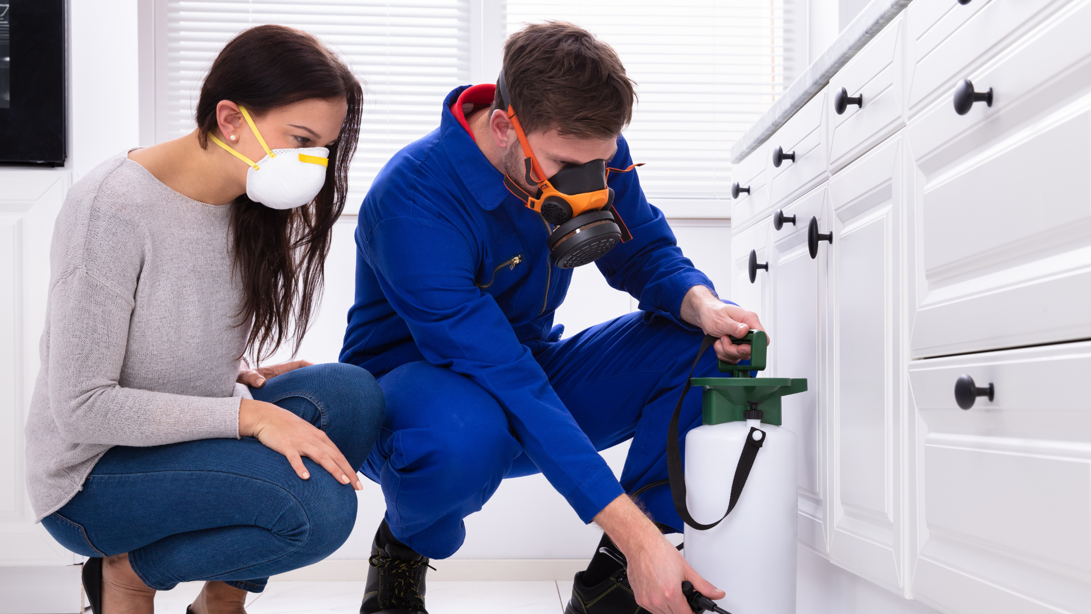 Pest Control in Kansas City