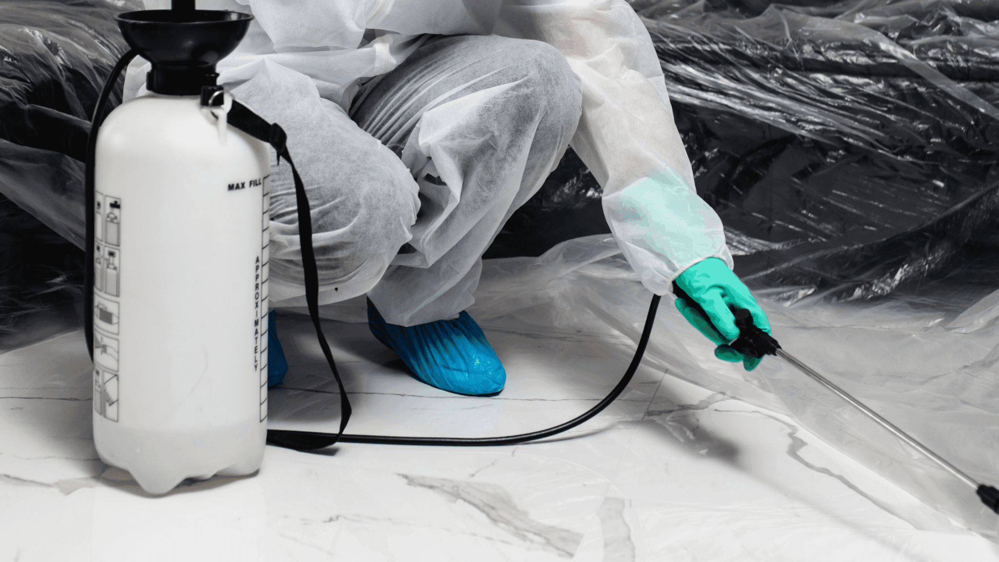 Kansas City Pest Control Company | Smithereen How Often Should You Call ...