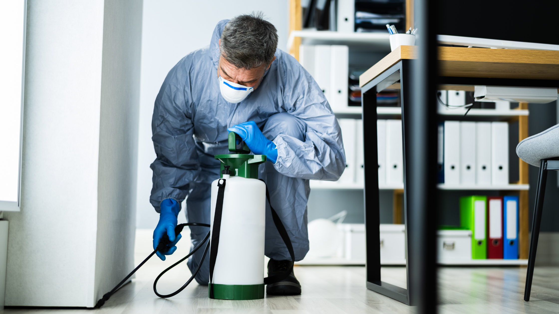 Pest Services in Kansas City