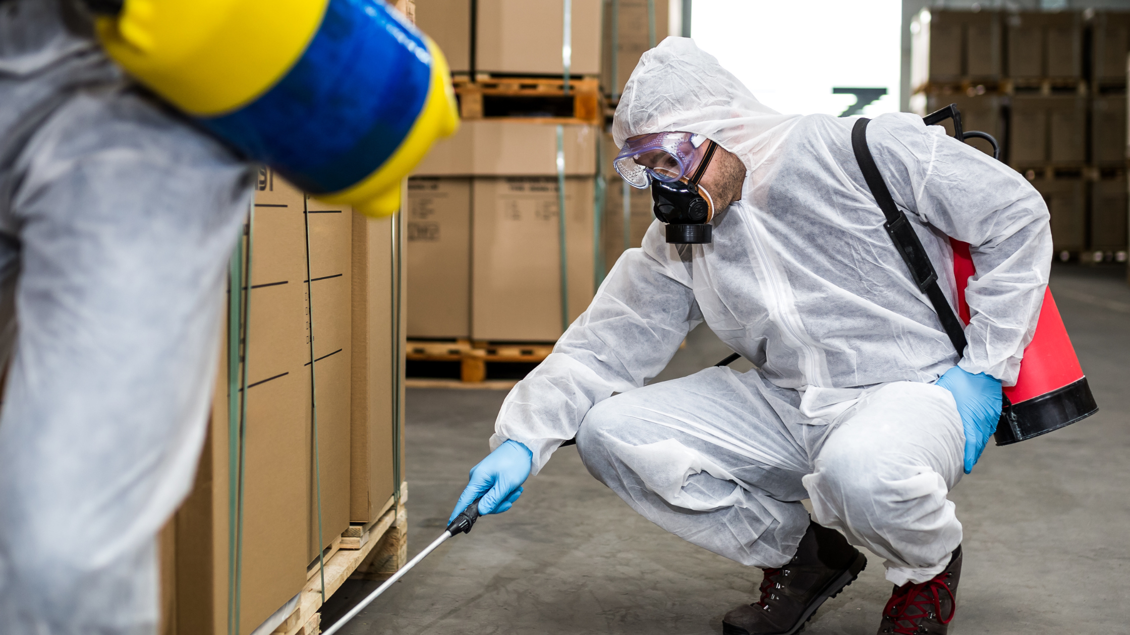 Warehouse Pest Control Services