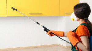  Pest Control Services in Kansas City