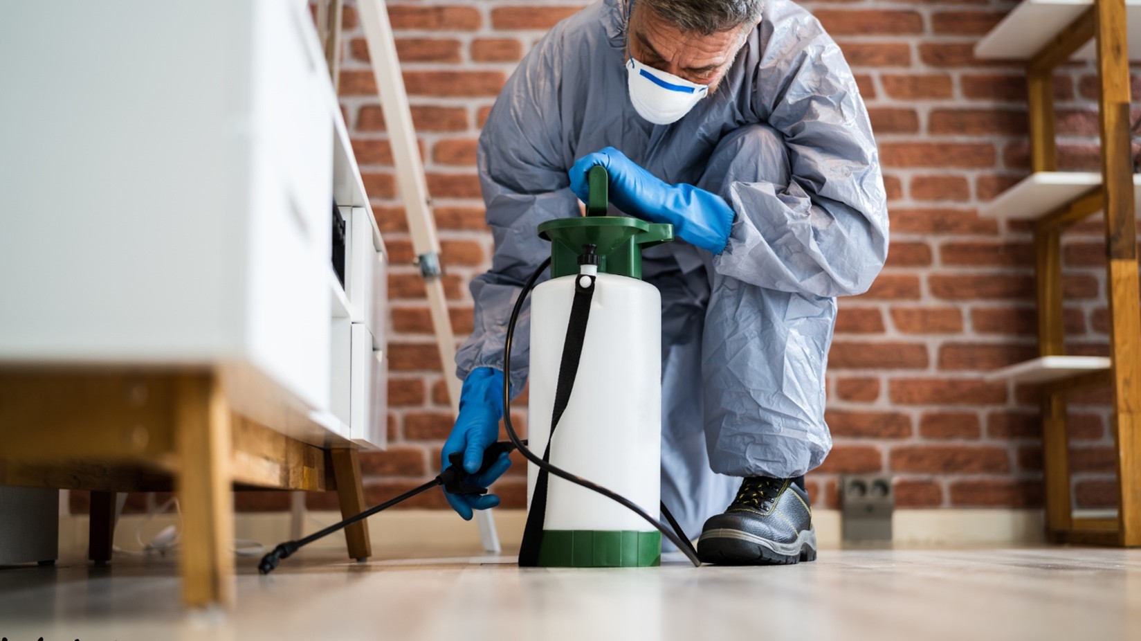 Commercial Pest Control in Kansas City