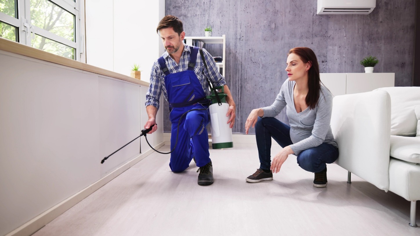 Pest Control Companies in Kansas City