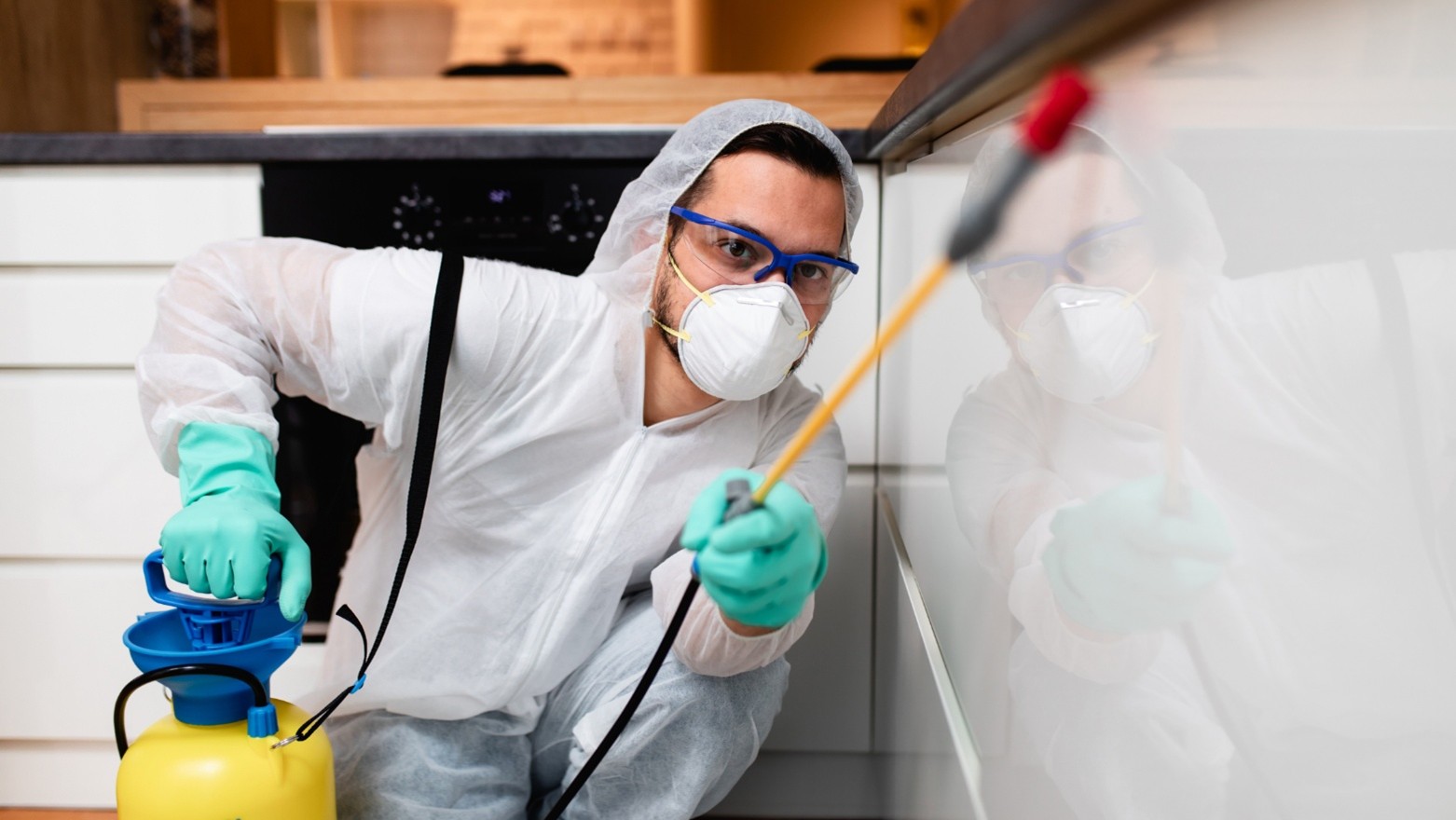 Commercial Pest Control in Kansas City