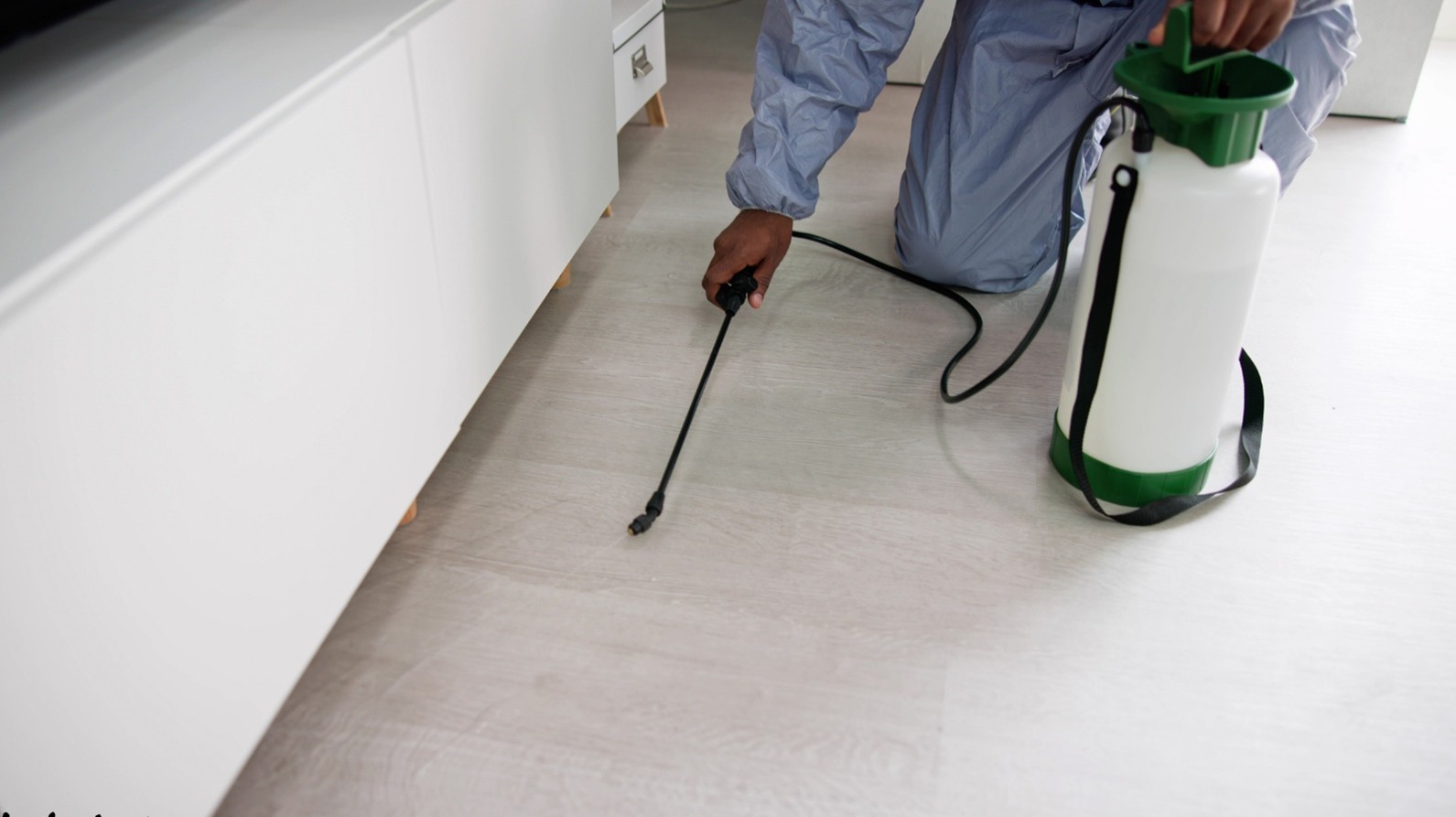 Commercial Pest Control Services in Olathe