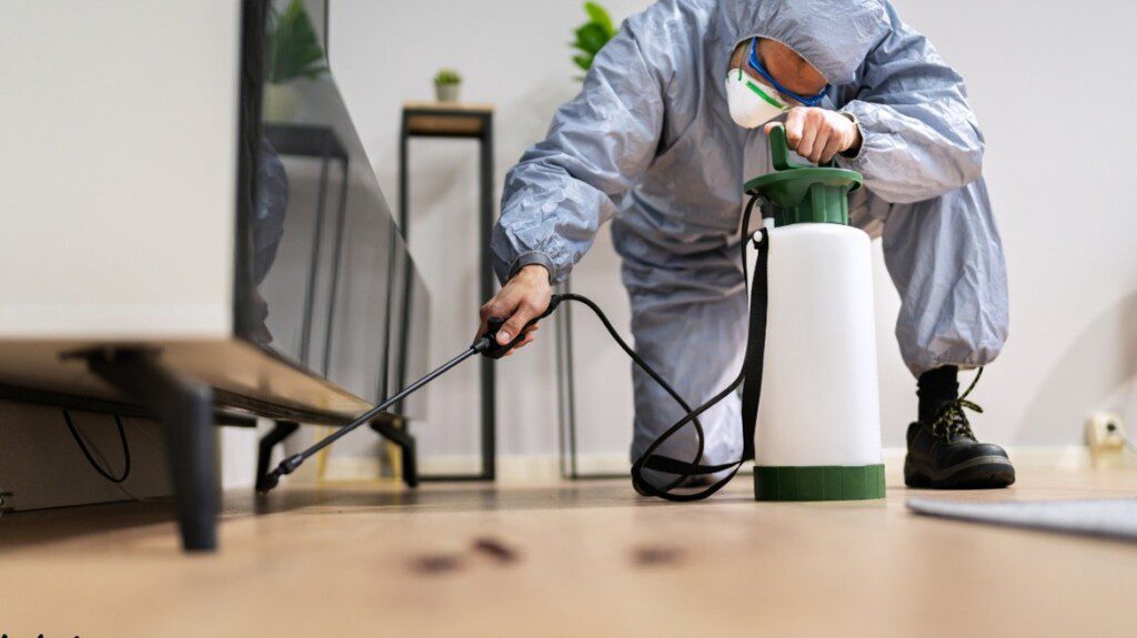 Commercial Pest Control Services in Olathe