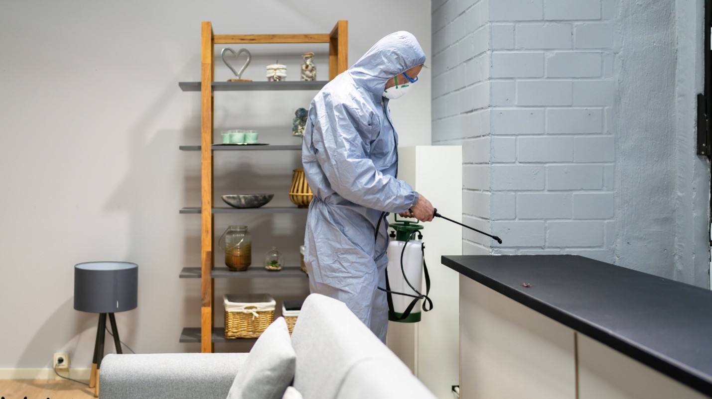 Bed Bug Exterminator in Kansas City