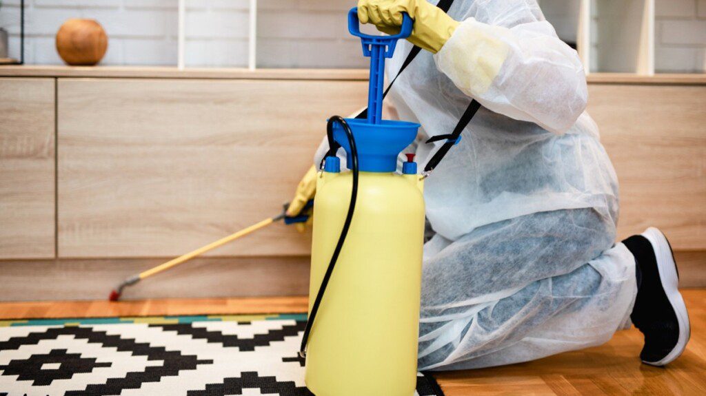 Bed Bug Exterminator in Kansas City