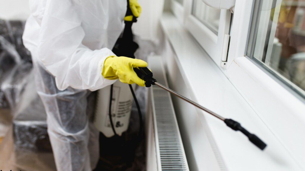 Commercial Pest Control in Leawood