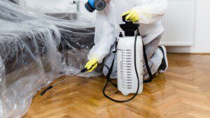 restaurant pest control services in Kansas City