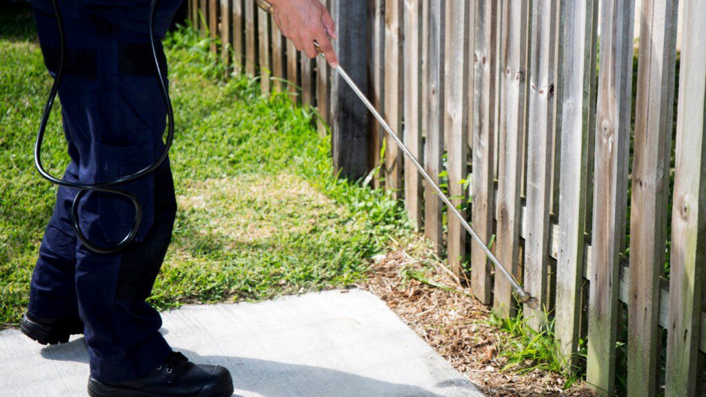 pest control in Kansas City